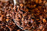 Madagascan Cacao Nibs
